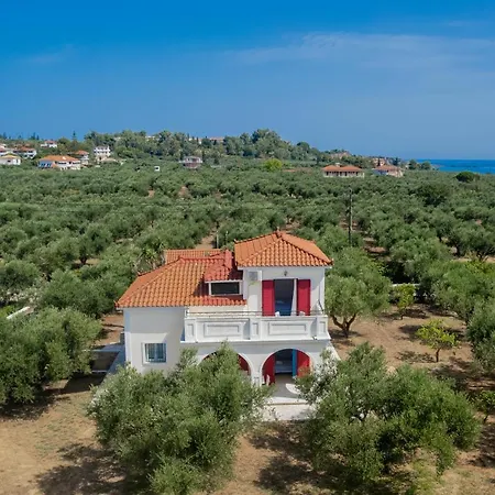 Lenna'S Villas Zante Vasilikí Extérieur photo